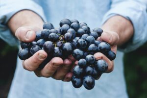 Sicilian winemakers are known for their spirit of innovation and experimentation, which has resulted in a variety of wine styles, from traditional to avant-garde.